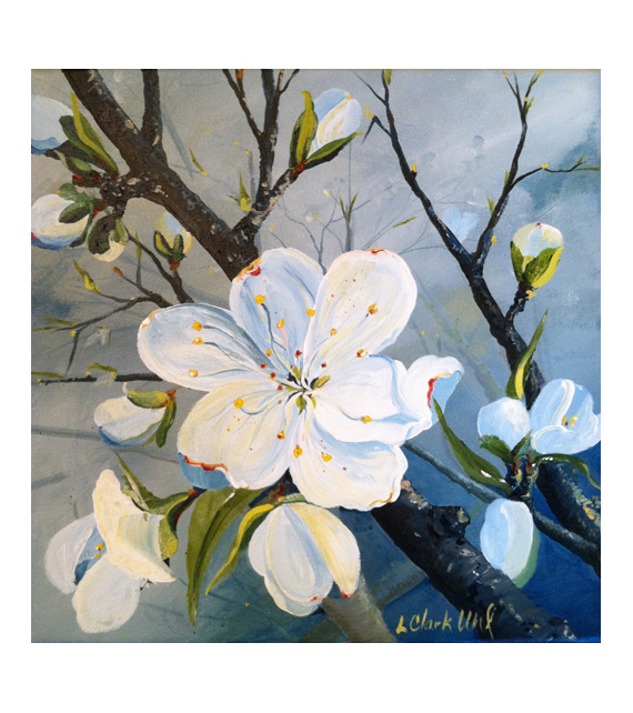 acrylic on canvas dogwood blossoms