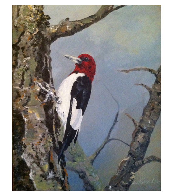 acrylic on canvas of red headed woodpecker
